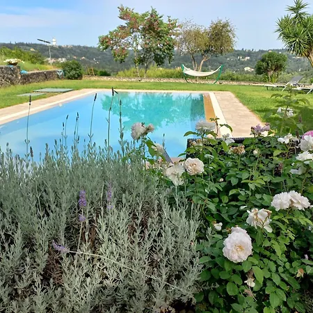 Corfu Escape Apartamento Achílleion